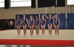 Équipe Trophée Fédéral Aérobic
Championne de France à Arques mai 2016